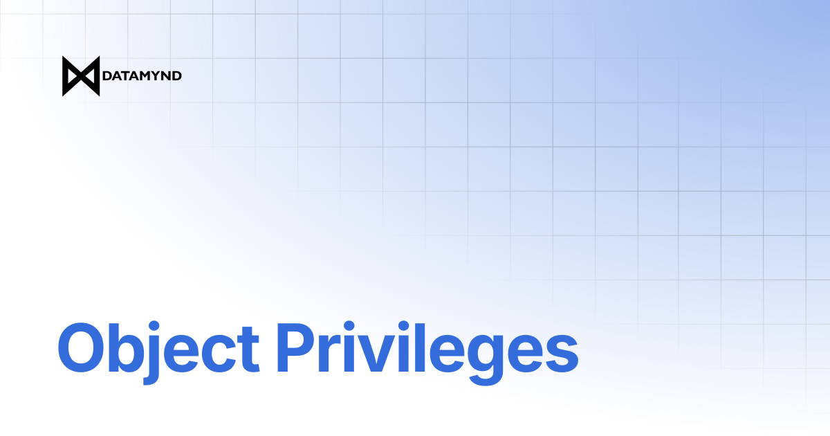 Object Privileges | DataMynd Docs